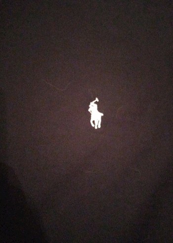 Siyah Erkek Kısa Kollu Polo Tişört - Görsel 2