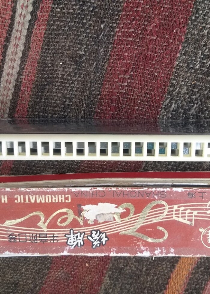 Towers pompalı armonika pazarlıksız  - Görsel 2