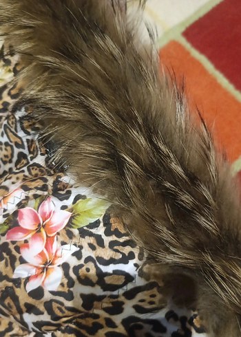 Kürk Detaylı Kadın Leopar Desenli Kısa Yelek - Görsel 14