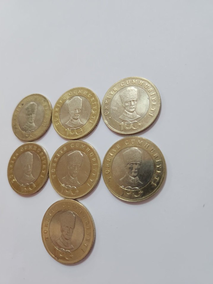 100.YIL ÖZEL KOLEKSYONLUK - Görsel 3