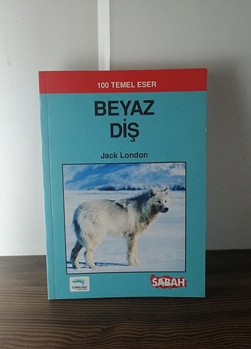 Beyaz diş 