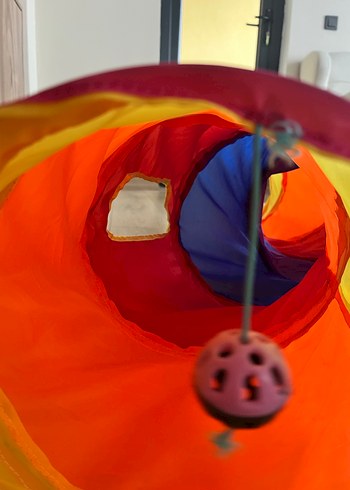 Renkli Kedi Oyun Tüneli - Görsel 4