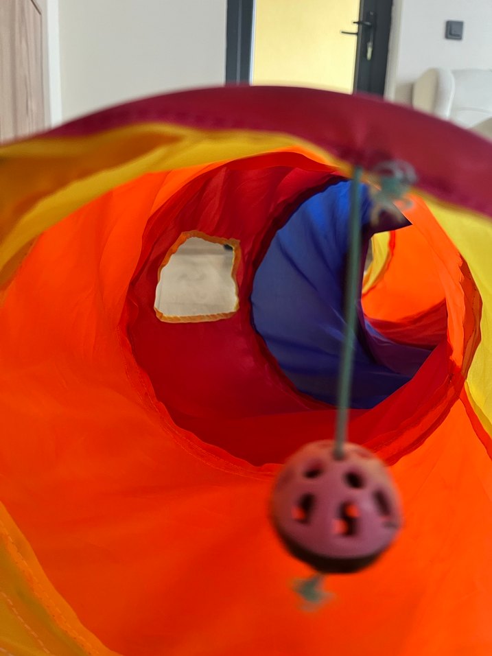 Renkli Kedi Oyun Tüneli - Görsel 4