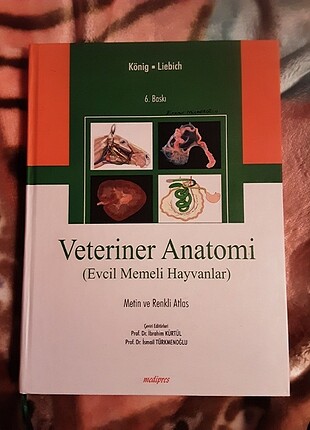 König veteriner anatomi atlas 