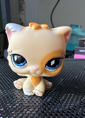 Lps kedi miniş