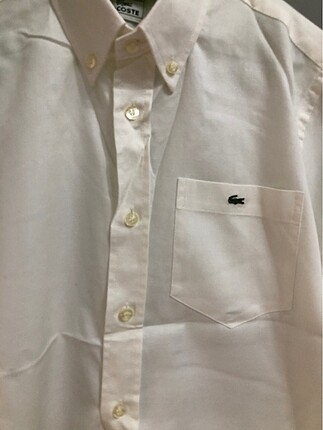 Lacoste Lacoste krem gömlek