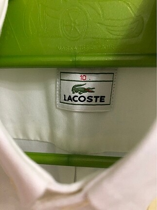 10 Yaş Beden Lacoste krem gömlek