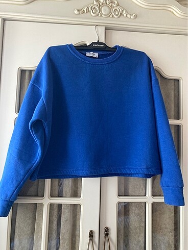 Diğer Mavi Sweatshirt