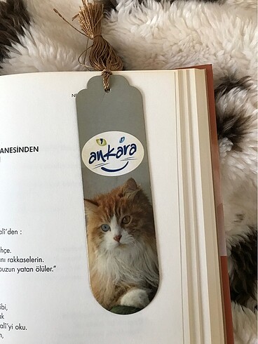  Beden kitap