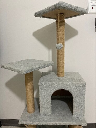  Kedi evi