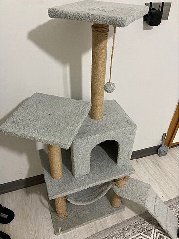 Kedi evi