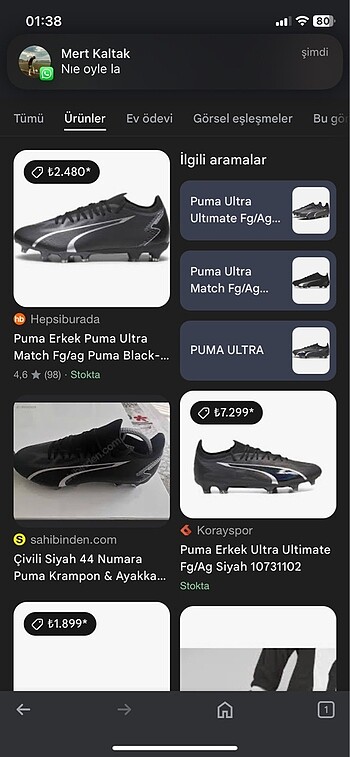 Puma Tertemiz puma