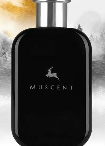 Muscent parfum 