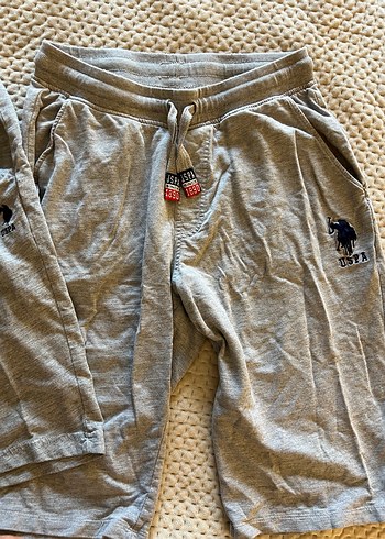 2 adet US Polo Gri Erkek Pamuk Şort - Görsel 3