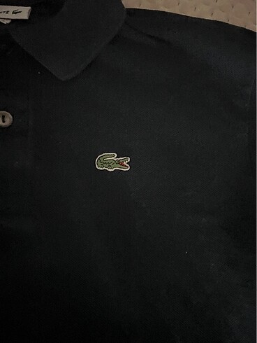 Lacoste Lacoste markalı Çocuk Tshirt