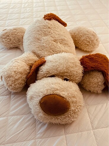 Peluş köpek