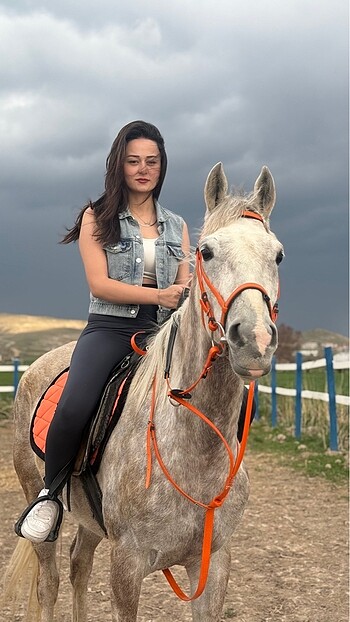 Oysho tayt