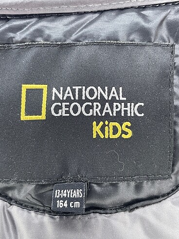 universal Beden çeşitli Renk National Geographic Yelek %70 İndirimli.