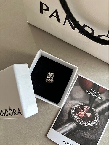 Pandora Charm