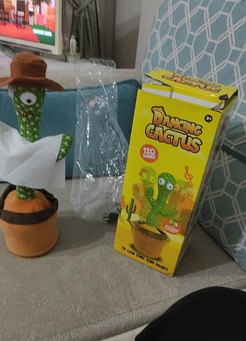 Kaktüs