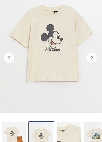 Walt Disney World Erkek çocuk tşört