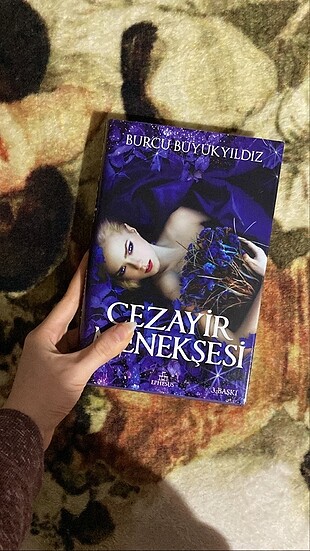 Cezayir Menekşesi