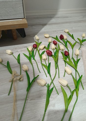 Islak Lale - Görsel 2