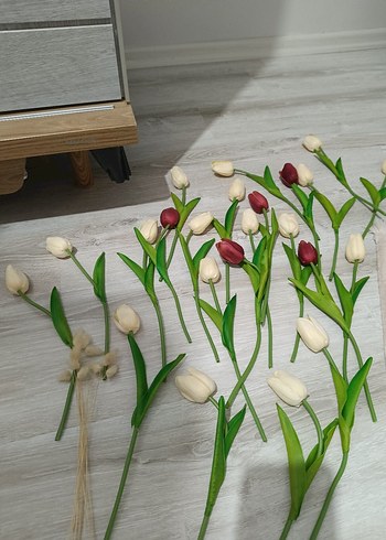 Islak Lale - Görsel 3