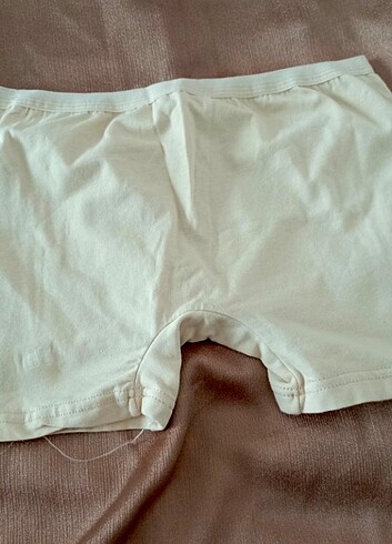 Boxer