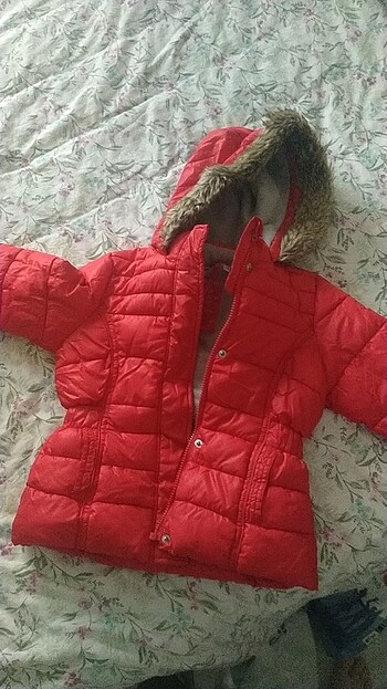 U.S Polo Assn. Mont