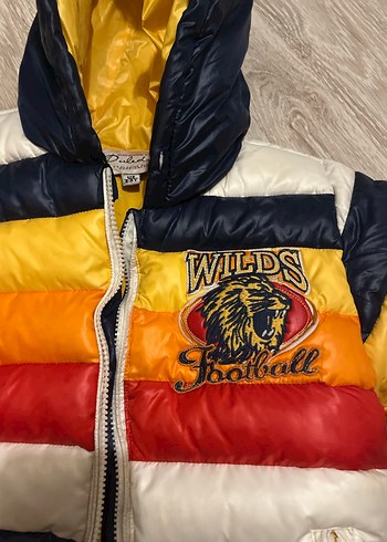 Çocuk Çok Renkli Kapüşonlu Fermuarlı Mont - Görsel 4