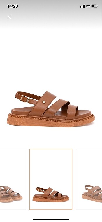 U.S Polo Assn. Usp polo kadın sandalet