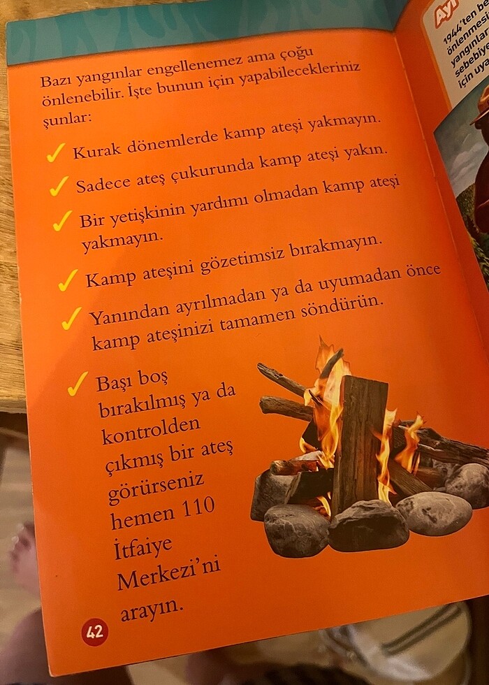 National Geographic okuma serisi büyük orman yangınları - Görsel 4