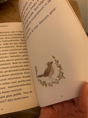 Evini Arayan Ardıç Tohumu çocuk kitabı - Görsel 3