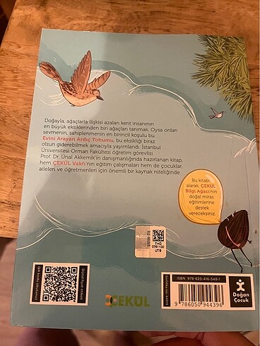 Evini Arayan Ardıç Tohumu çocuk kitabı - Görsel 2