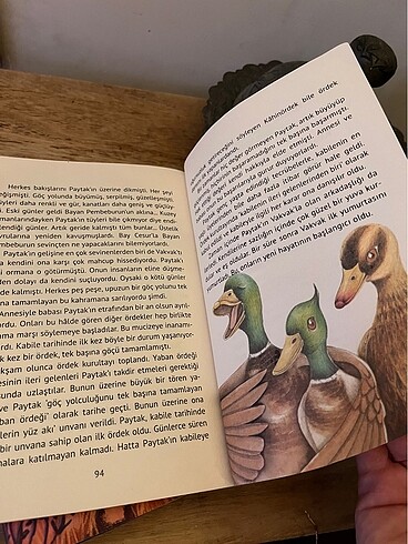 Çocuk kitabı yaban ördeği ailesinin göç yolculuğu yazar ömür kur - Görsel 3