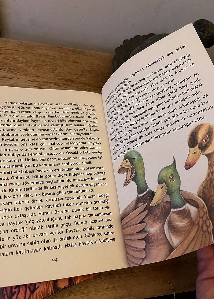 Çocuk kitabı yaban ördeği ailesinin göç yolculuğu yazar ömür kur - Görsel 3