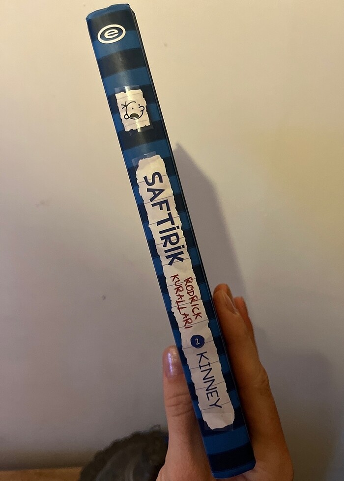 Çocuk kitabı Saftirik serisi 2. Kitap - Görsel 2