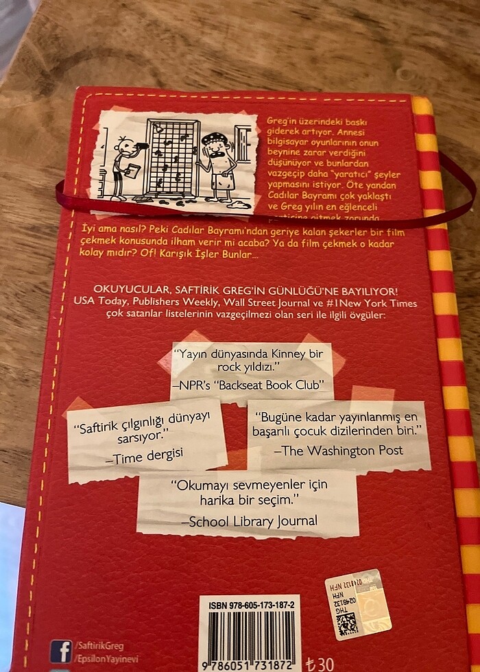 Saftirik serisi 11. Kitap - Görsel 2