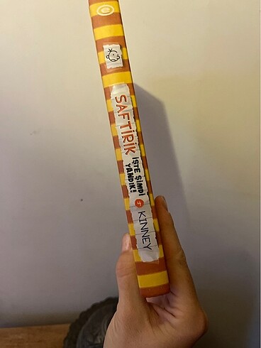 Saftirik serisi 4. Kitap - Görsel 2