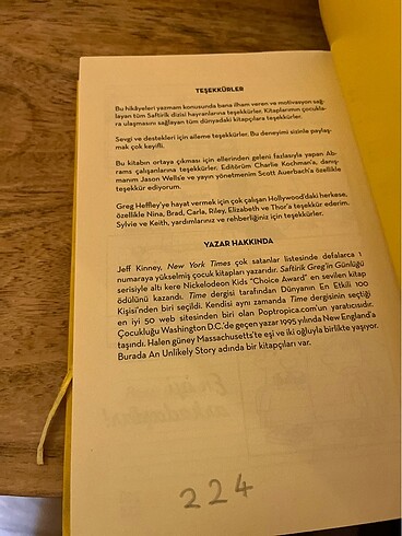 Saftirik serisi 4. Kitap - Görsel 4