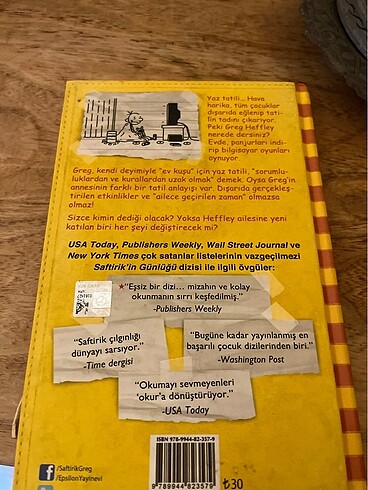 Saftirik serisi 4. Kitap - Görsel 3