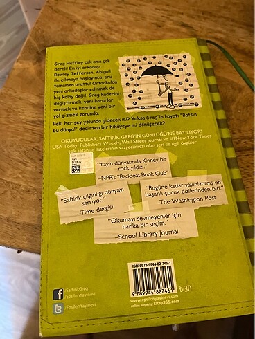 Saftirik serisi 8. Kitap - Görsel 3