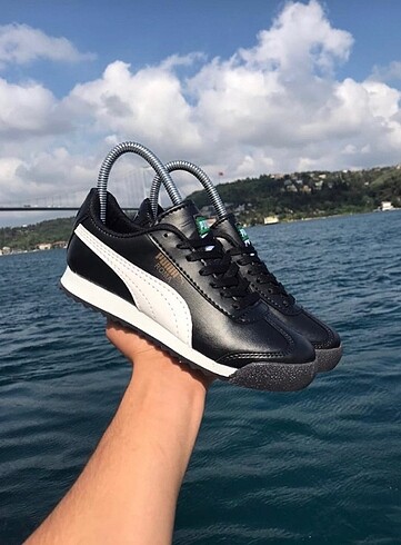 Puma Roma