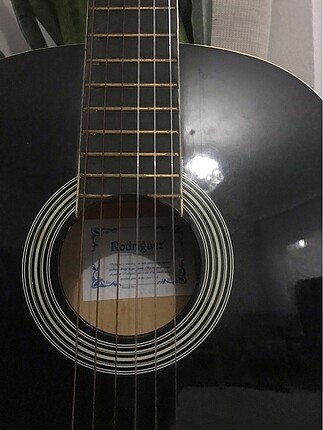  Beden Rodriquez gitar