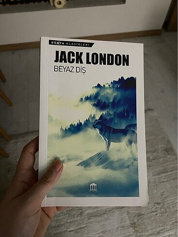 Kitap