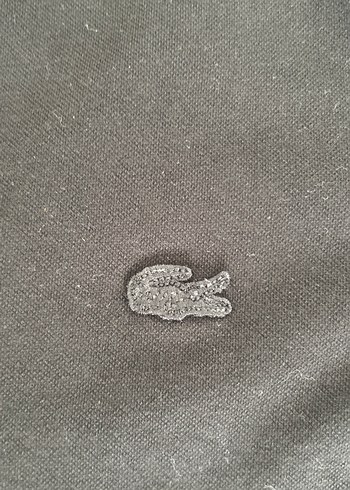 Erkek Siyah Kısa Kollu Keten Polo yaka Tişört - Görsel 2