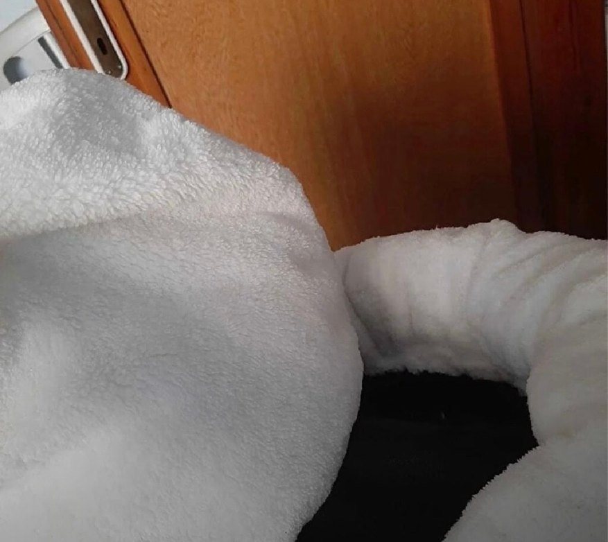 Peluş Kedi Yatağı - Görsel 3