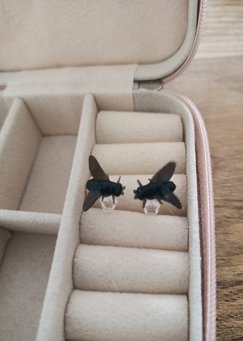 karasinek küpe - Görsel 6