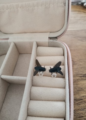 karasinek küpe - Görsel 7